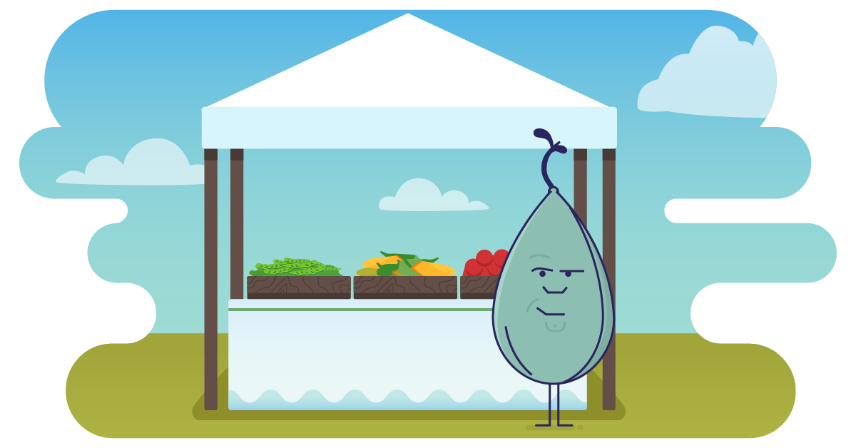 Corn, Beans, Okra, Radish…Grow It Yourself With Hancock Seed!