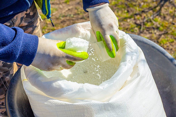 Organic vs. Inorganic Fertilizer: What's the Difference?