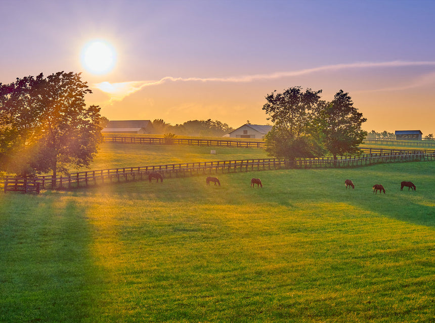 Welcome to The Hancock Farm and Seed Family Blog!