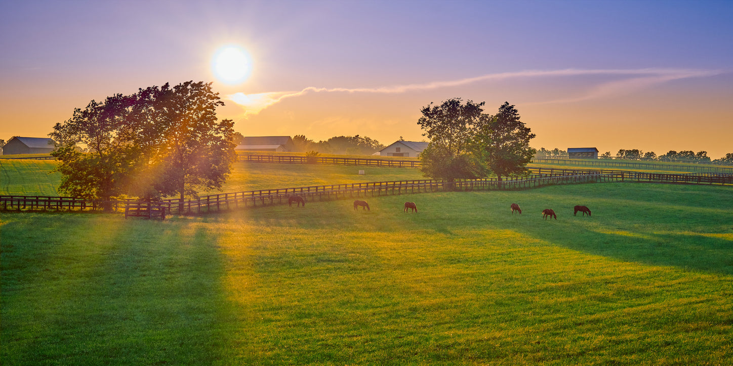Welcome to The Hancock Farm and Seed Family Blog!