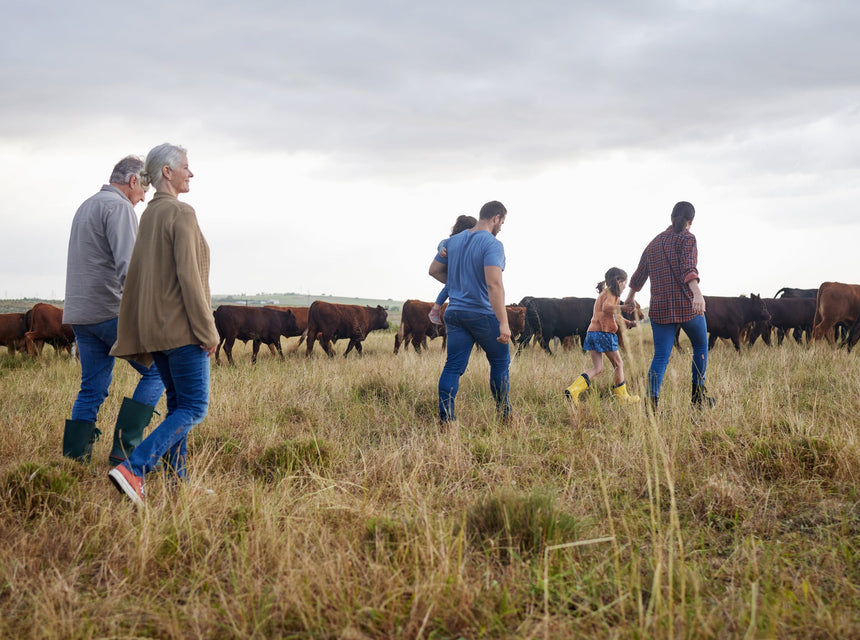 Unique Father's Day Gift Ideas: Perfect Gifts for the Green Thumb Dad