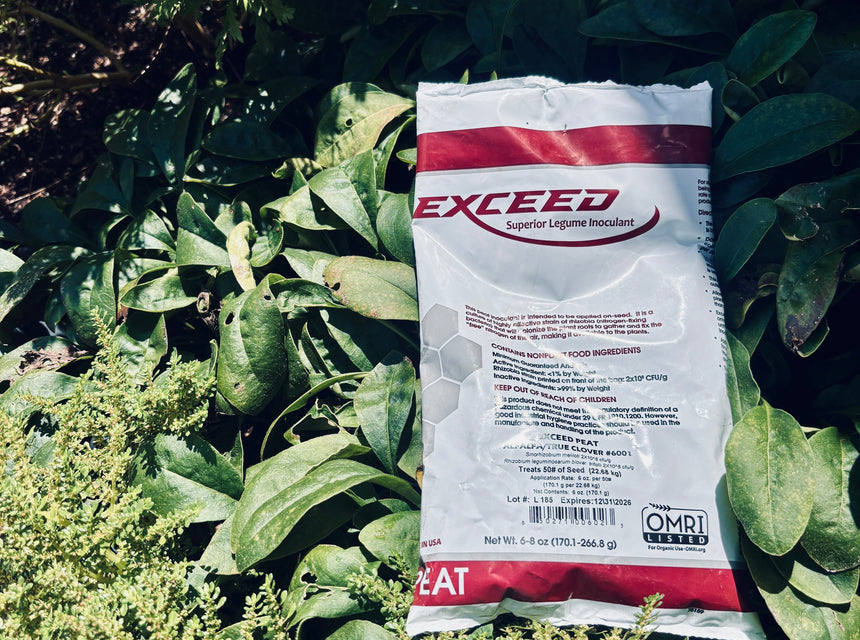 What Is a Seed Inoculant? A Simple Guide to Healthier Legume Plantings