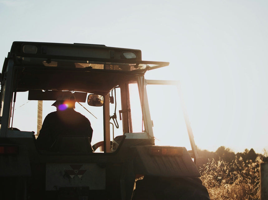 Celebrating Labor Day: The Work Behind What Grows