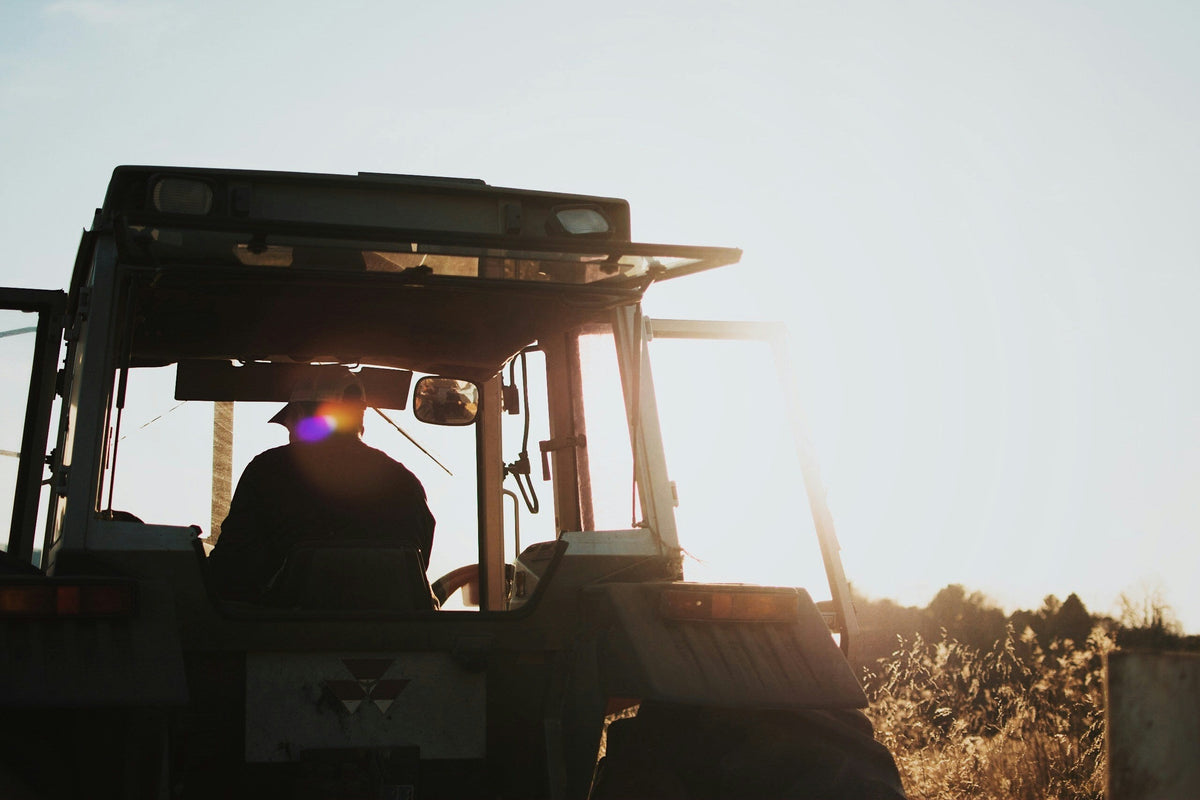 Celebrating Labor Day: The Work Behind What Grows