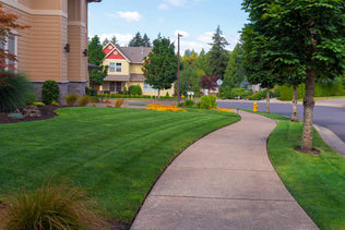 Hancock's Lawn Seed Mixes