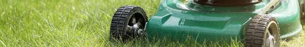 Grass Seed
