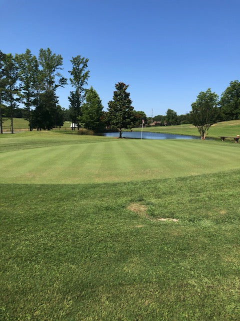 007 Creeping Bentgrass Seed