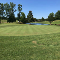 007 Creeping Bentgrass Seed