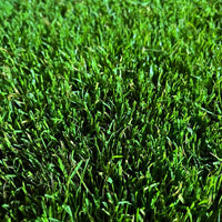 Hancock's Common Bermuda Grass Seed - Coated & Unhulled