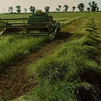 Big River Crabgrass Seed