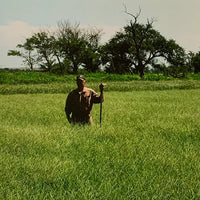 Big River Crabgrass Seed