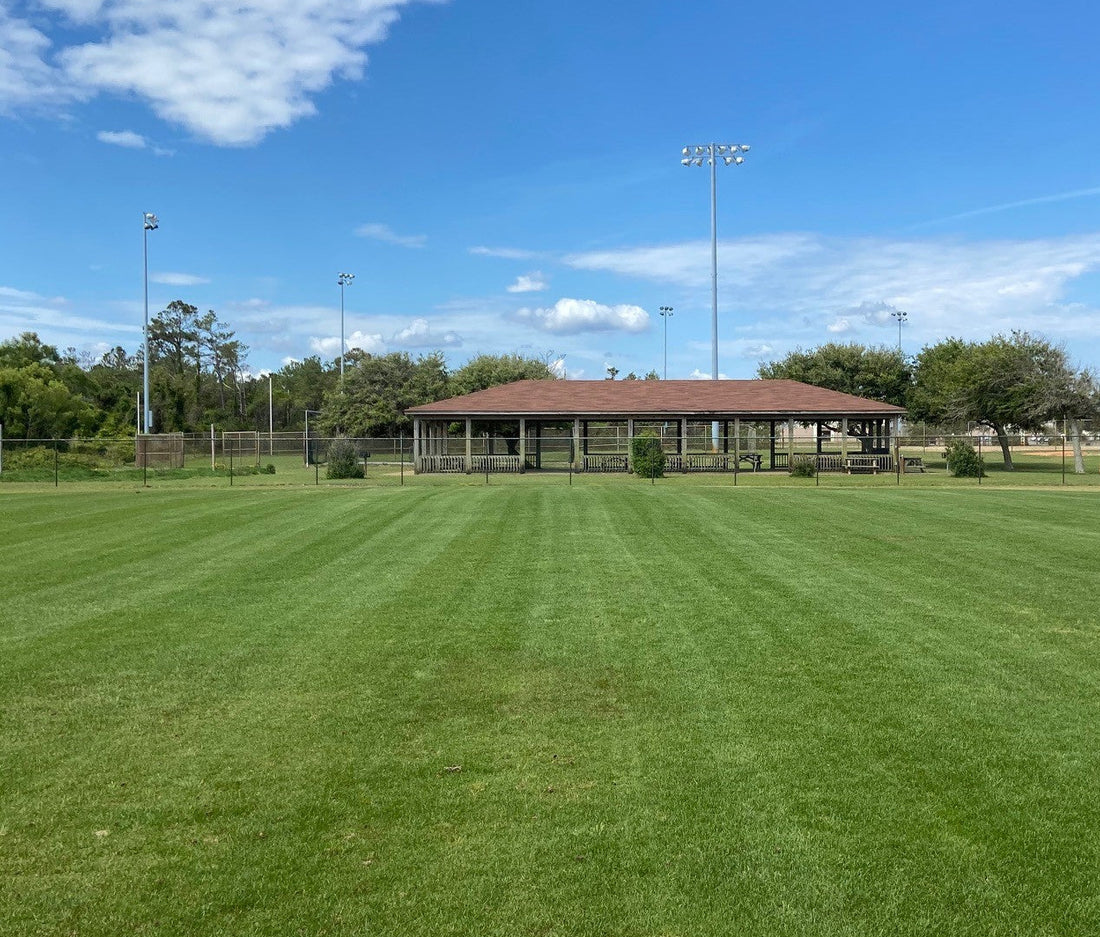 Hancock's Highlander Turf Bermuda Grass Seed - Hulled & Coated