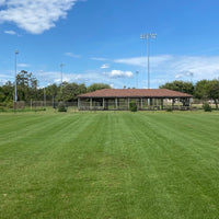 Hancock's Highlander Turf Bermuda Grass Seed - Hulled & Coated