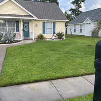 Hancock's Highlander Turf Bermuda Grass Seed - Hulled & Coated
