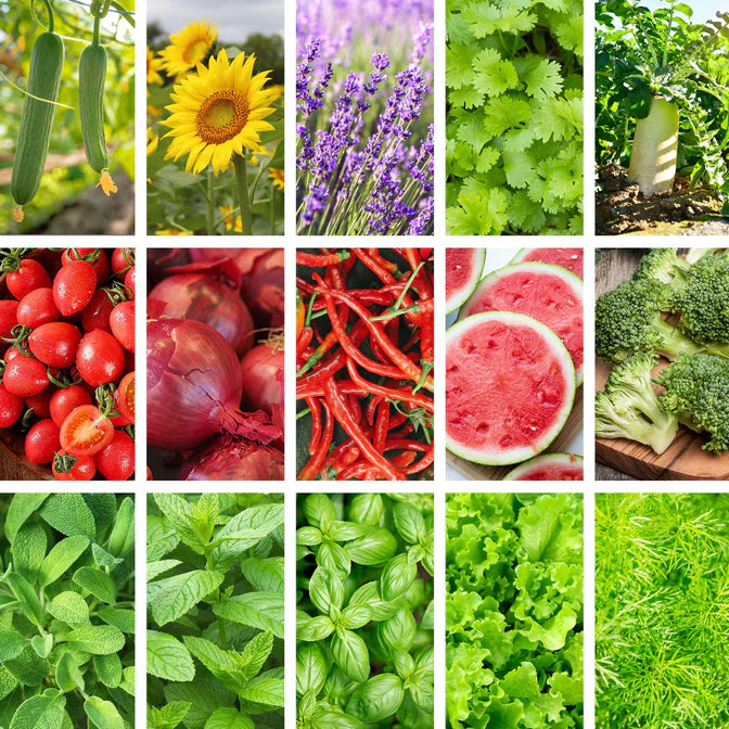 All-in-One Kitchen Garden Seed Bank