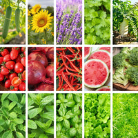All-in-One Kitchen Garden Seed Bank