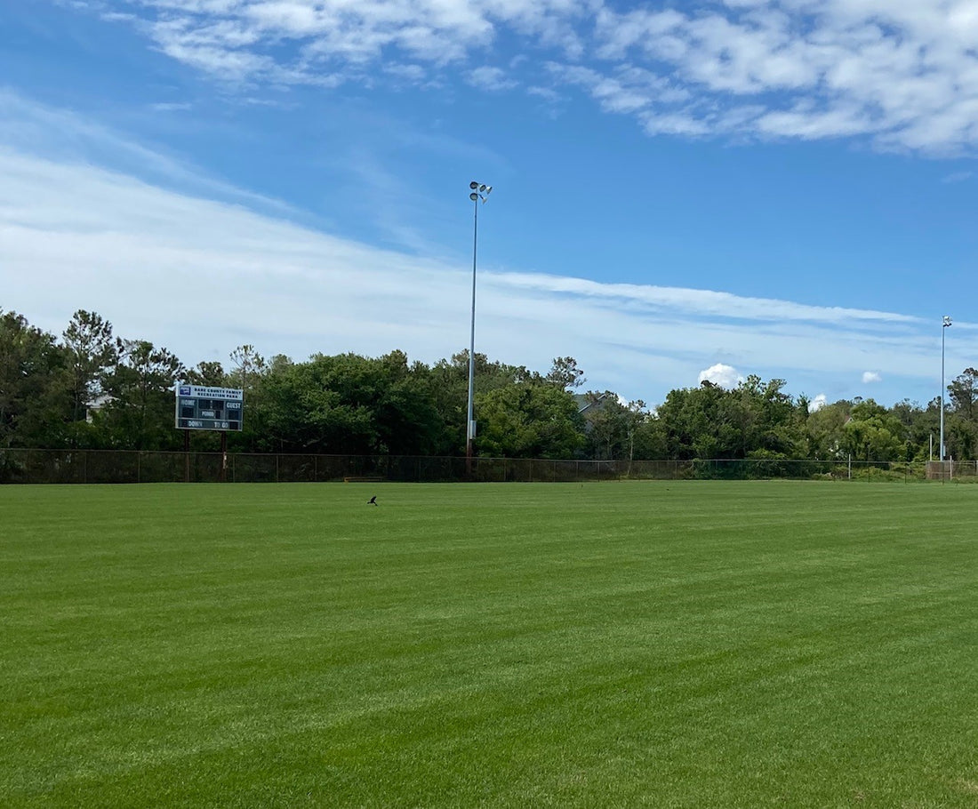 Hancock's Highlander Turf Bermuda Grass Seed - Hulled & Coated