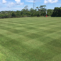 Hancock's Highlander Turf Bermuda Grass Seed - Hulled & Coated