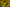 Plains Coreopsis Wildflower Seed
