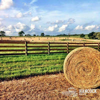 Hancock's Hay Maker Bermuda Grass Seed Blend