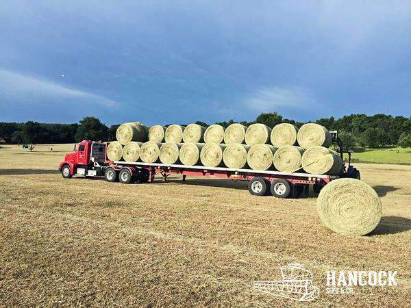 Hancock's Hay Maker Bermuda Grass Seed Blend