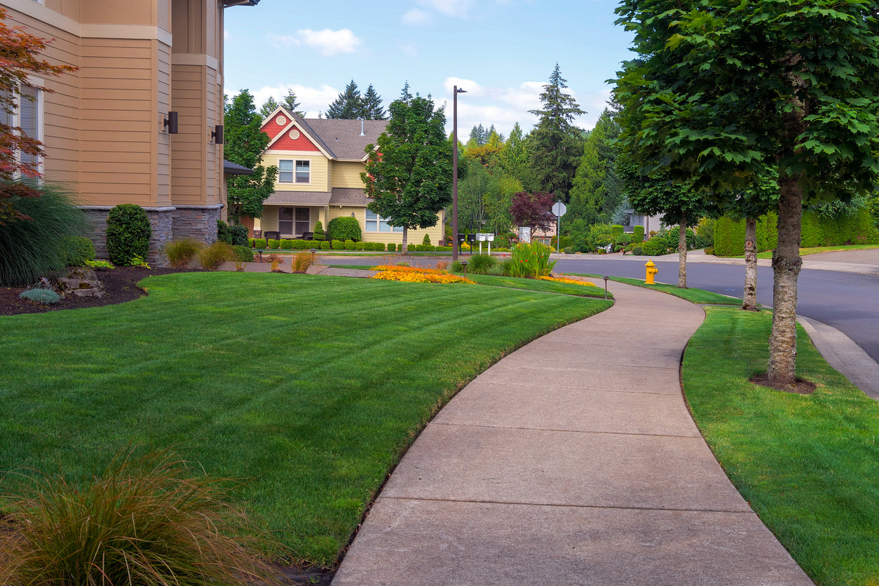 suburban lawn and garden grass seed Hancock's Sun & Shade Grass Seed Mix – Hancock Seed