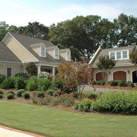 15-0-04 Zoysia Weed & Feed Fertilizer
