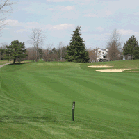 Bent, Grass, seed, bent, grass, bentgrass seed, bent grass seed, bentgrasses, bentgrass seeds, bentgrass turf, bentgrass turf seed, bentgrass greens, bentgrass turf seeds