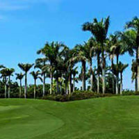 Bimini Bermuda Lawn Plugs