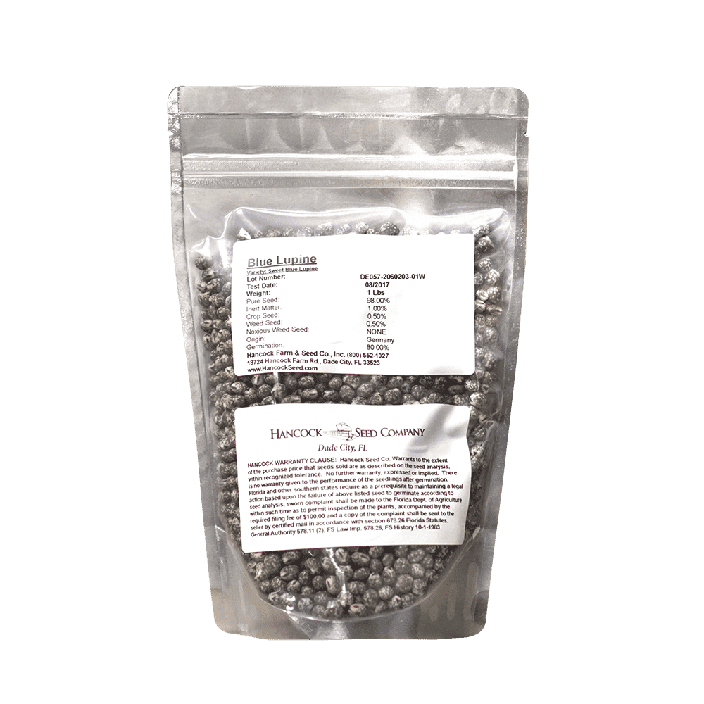 Sweet Blue Lupine Seed