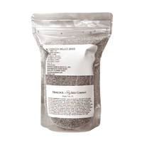 Hancock's Brown Top Millet Seed