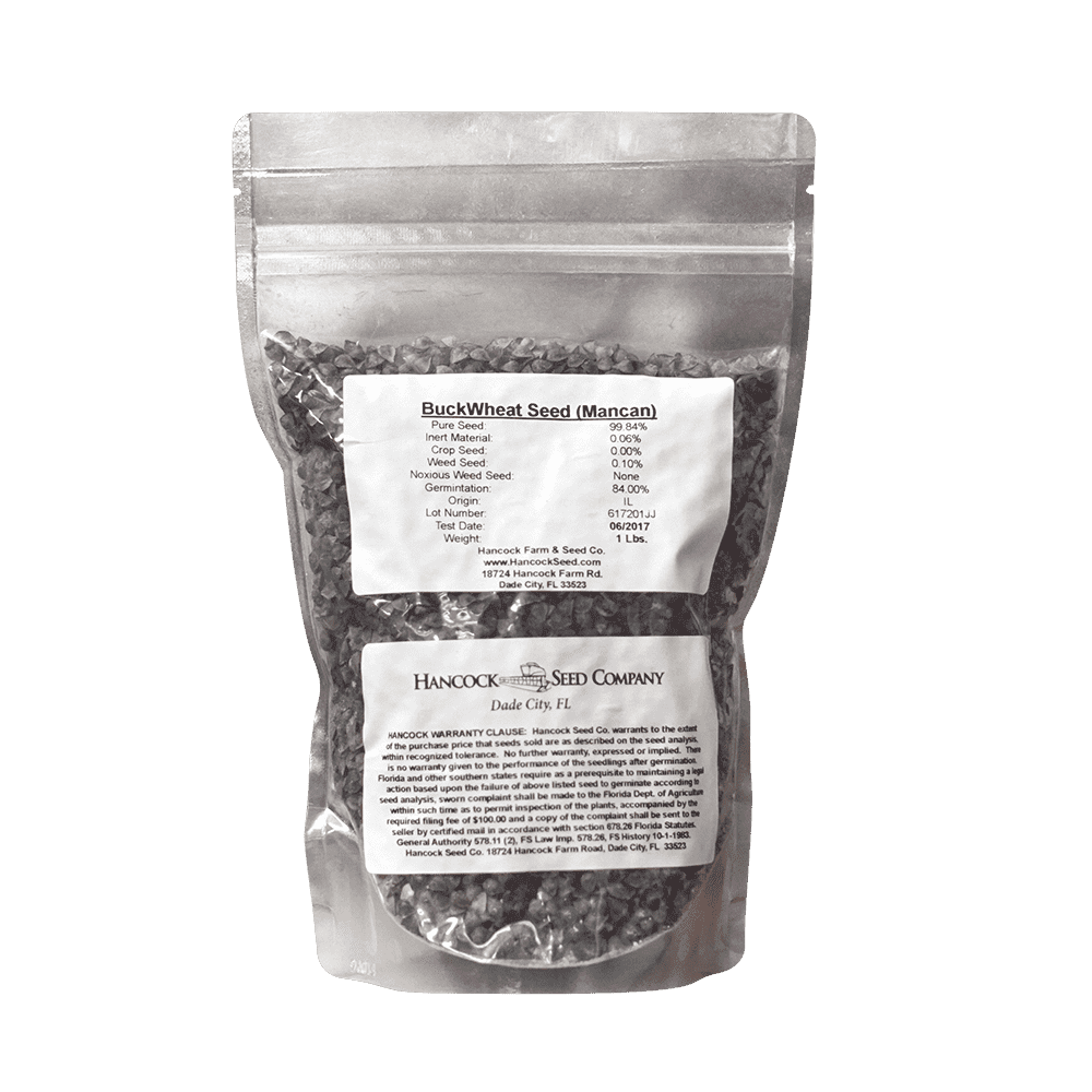 buckwheat herbicides Buckwheat Seed