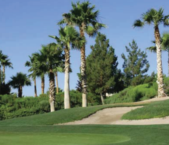 Royal TXD Bermuda Grass Seed