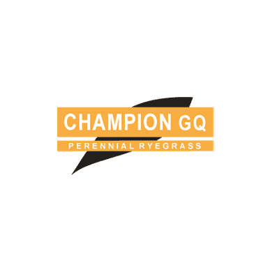 Champion GQ Perennial Ryegrass Seed