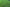 Cheyenne II Bermuda Grass Seed - Certified