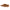 Chufa Seed