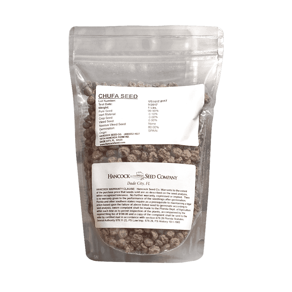 Chufa Seed