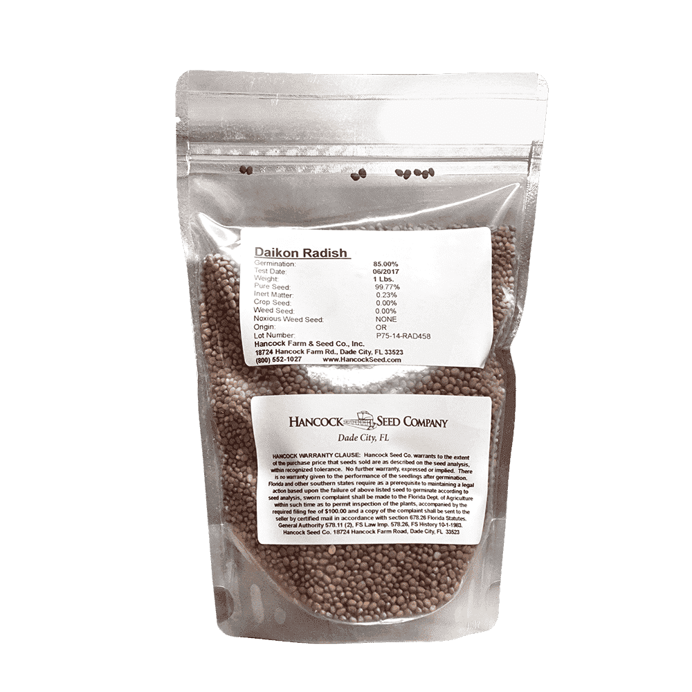 Daikon Radish Seed