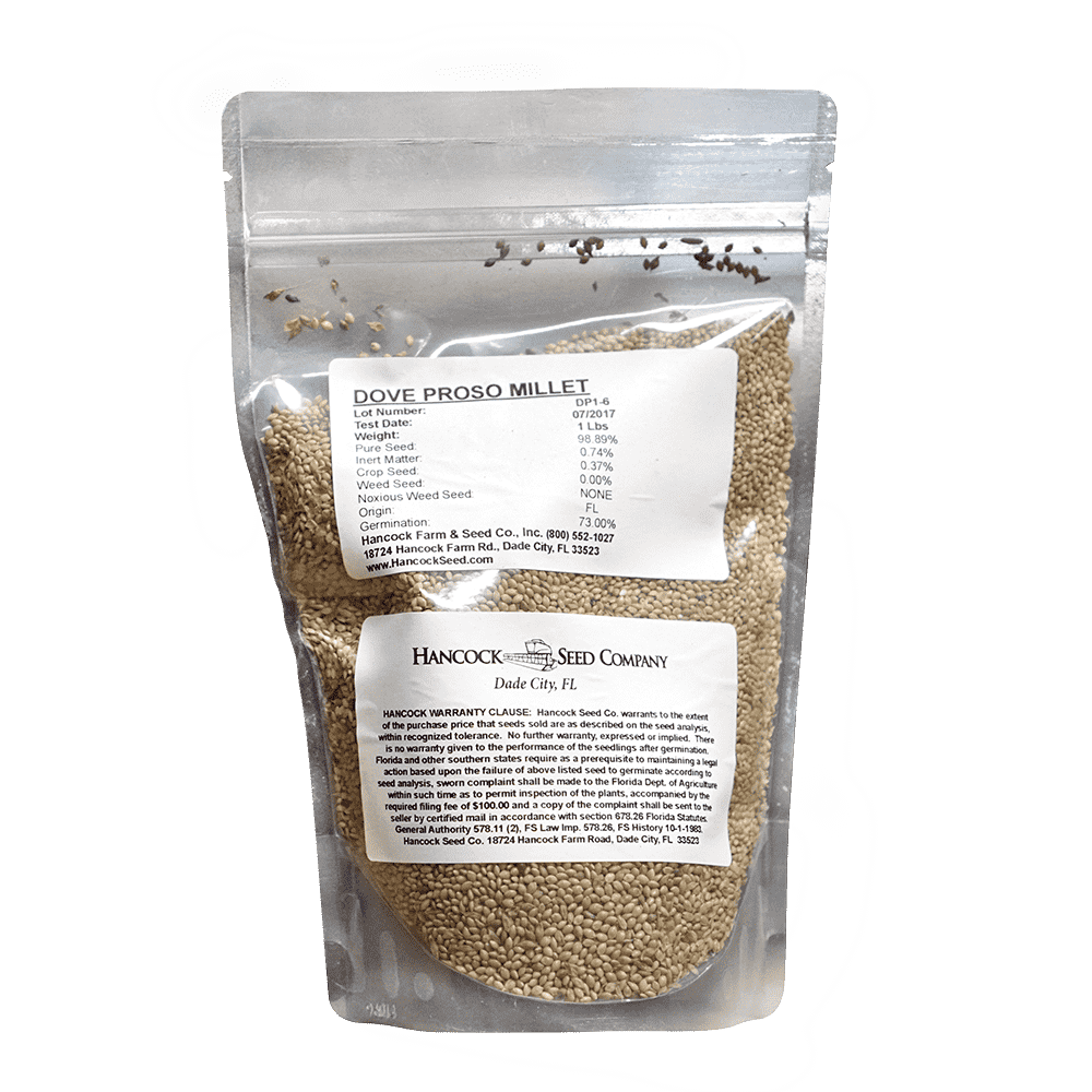 Dove Proso Millet Seed