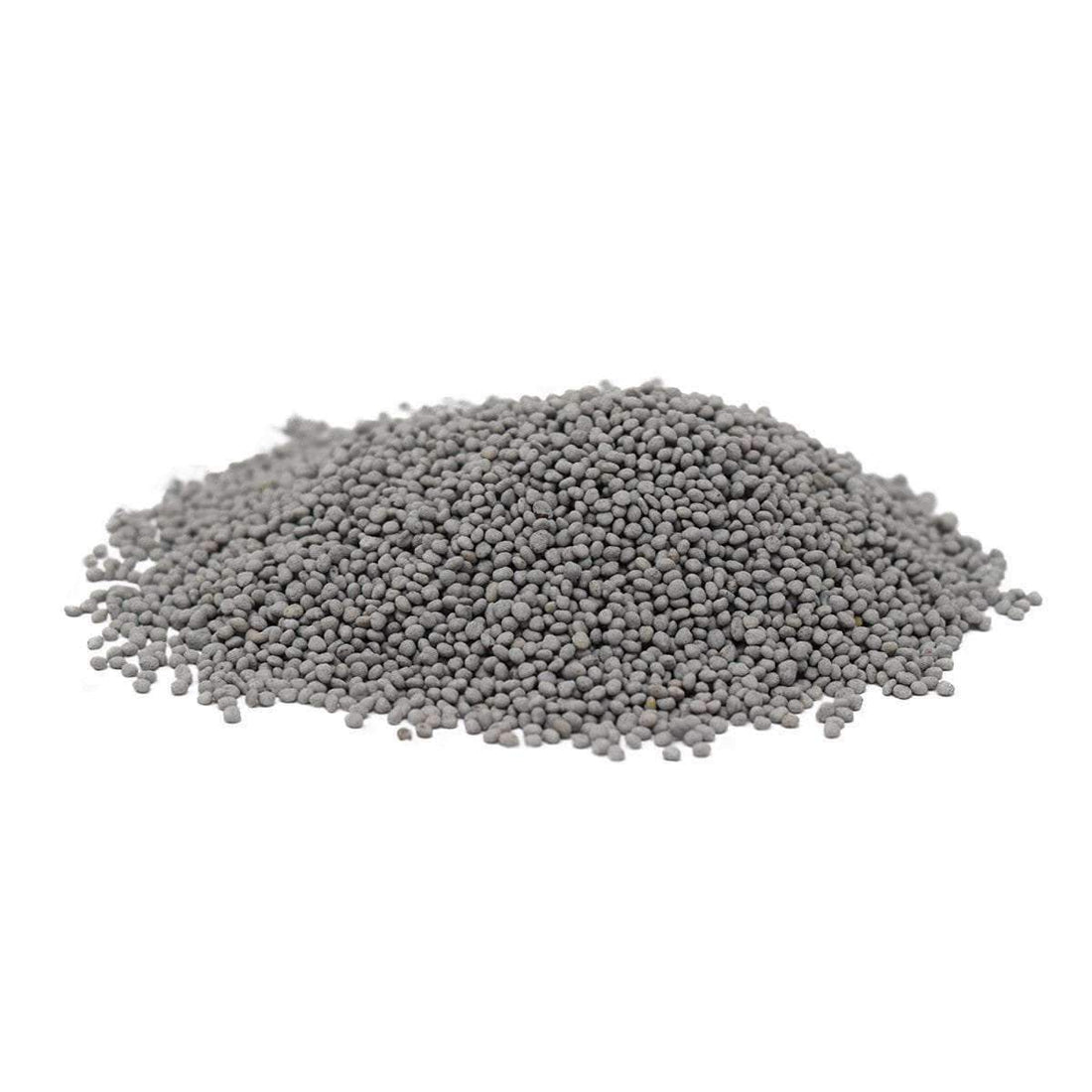 Durana White Clover Seed - Certified