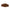 Egyptian Wheat Seed