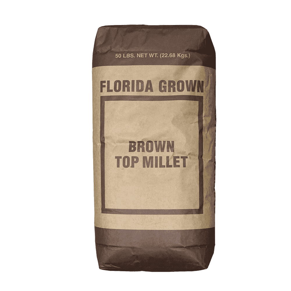 Hancock's Brown Top Millet Seed