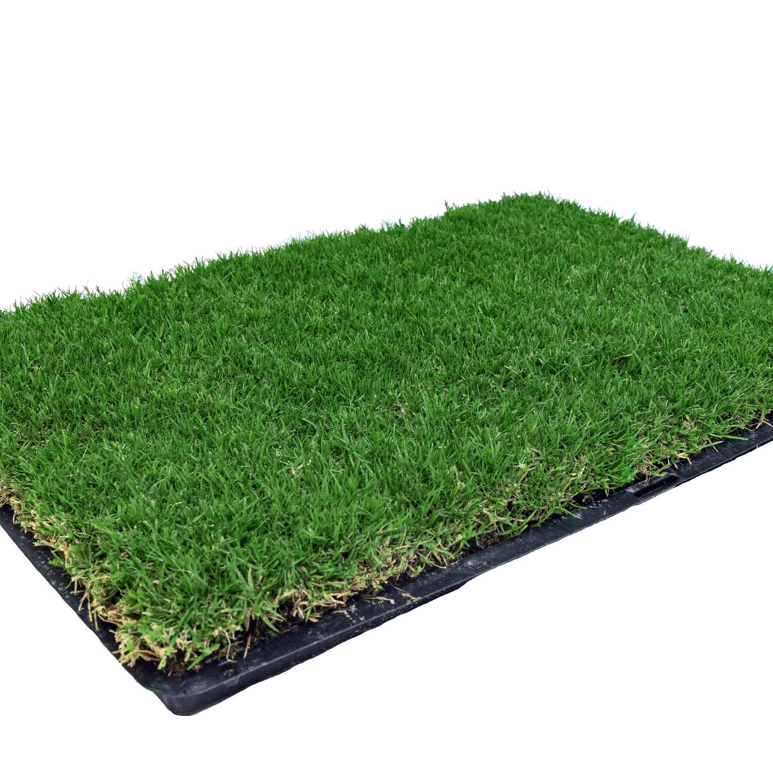 Gotta Go Grass with Tray 2-Pack