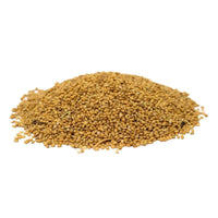 German Foxtail Millet Seed
