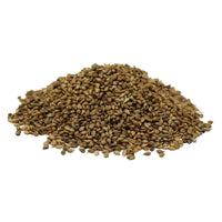 Hancock's Brown Top Millet Seed