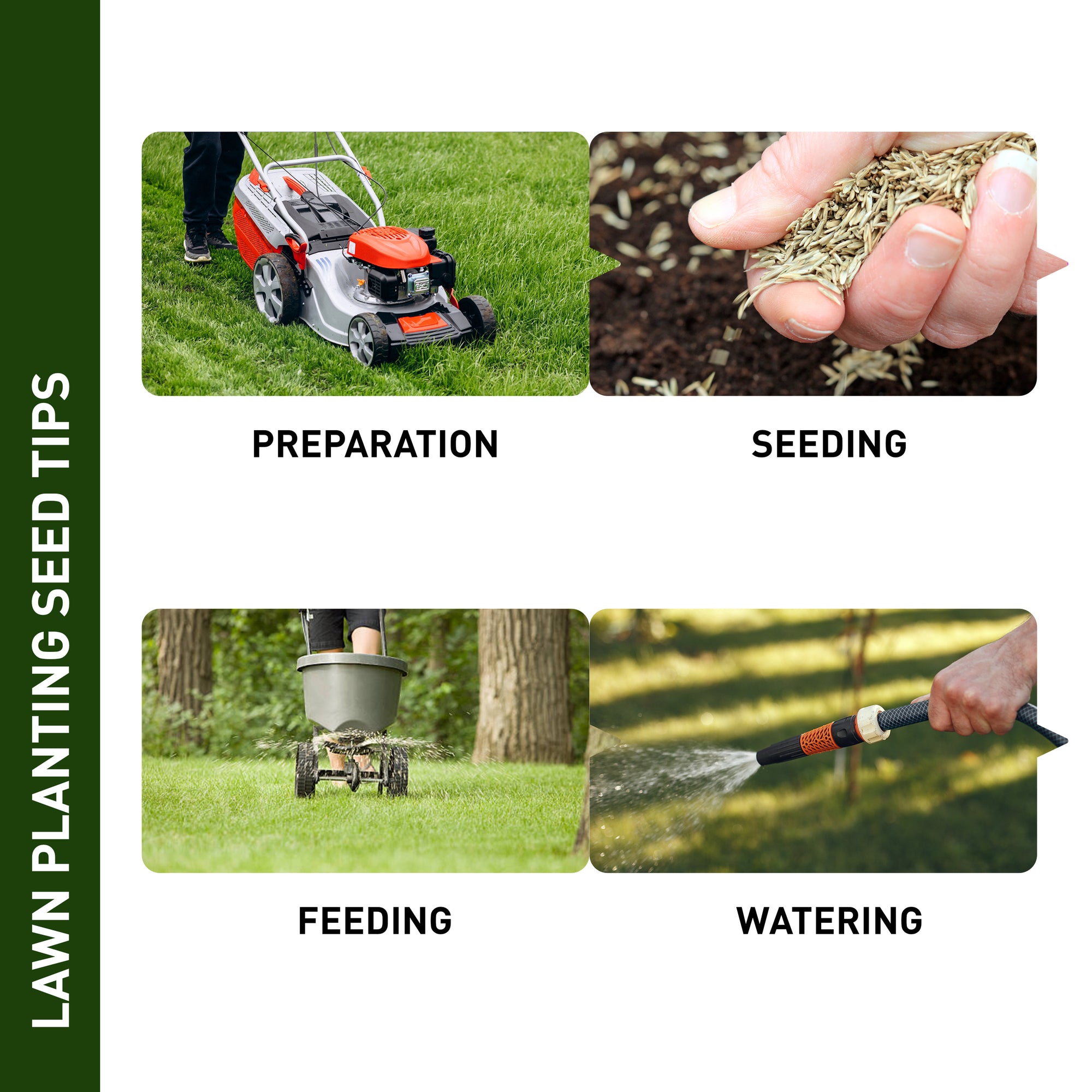 plant grass seed in summer Summer Pensacola Bahia Grass Seed Mix