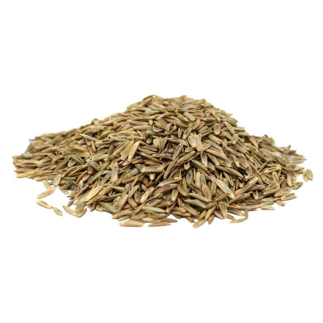 Hancock's Pasture Ryegrass Seed