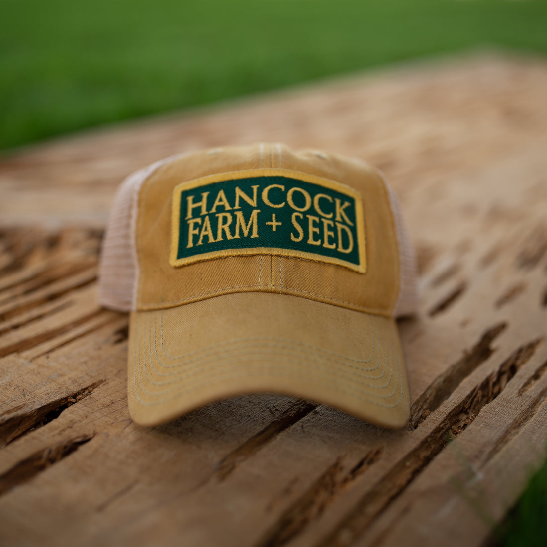 Hancock Farm + Seed Yellow Blossom Trucker Hat