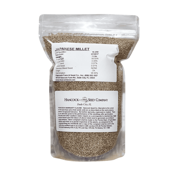 Japanese Millet Seed