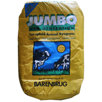 Jumbo Annual Ryegrass Seed